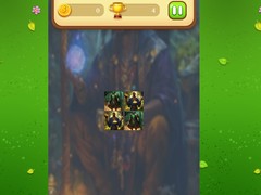 Peli Magic Druid Memory Match