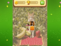 Peli Farm Cat Memory Match