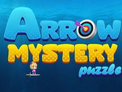 Peli Arrow Mystery Puzzle