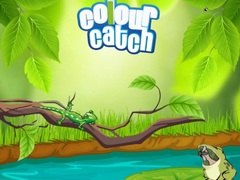 Peli Colour Catch