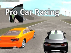 Peli Pro Car Racing