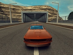 Peli Drive Zone
