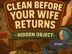 Peli Clean Before Your Wife Returns Hidden Object