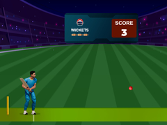 Peli Cricket Night 2