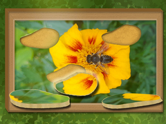 Peli Find & Restore: Hidden Puzzle