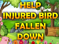 Peli Help Injured Bird Fallen Down