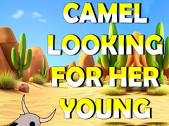 Peli Camel Looking For Her Young
