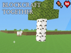 Peli BlockCraft Together