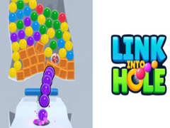 Peli Link Into Hole