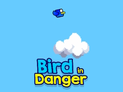 Peli Bird in Danger