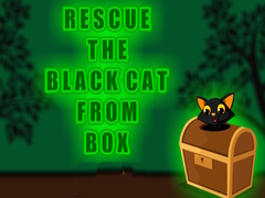 Peli Rescue the Black Cat from Box