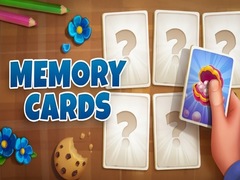 Peli Memory Cards
