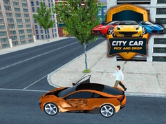 Peli City Car Pick And Drop 