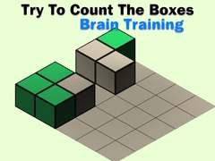 Peli Try To Count The Boxes Brain Training