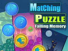Peli Matching Puzzle