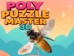 Peli Poly Puzzle Master 3D