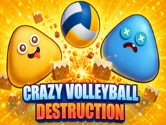 Peli Crazy Volleyball Destruction