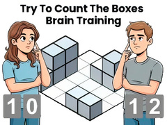 Peli Try To Count The Boxes Brain Training