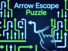 Peli Arrow Escape Puzzle