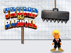 Peli Trump the Ragdoll
