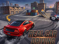 Peli Real Car Driving