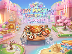 Peli Tidy Master - Satisfeel ASMR