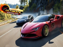Peli Ultimate Racihg Car