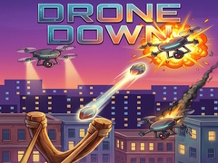 Peli Drone Down