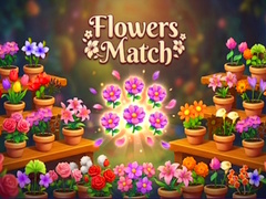 Peli Flowers Match