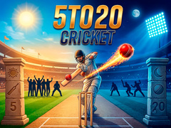 Peli 5TO20 Cricket