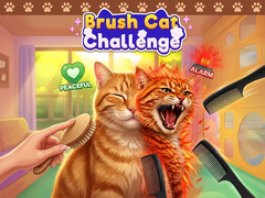 Peli Brush Cat Challenge 