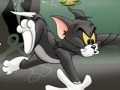 Peli Tom And Jerry Chase In Marsh