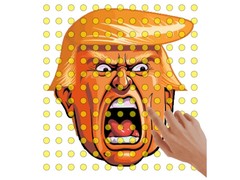 Peli Trump Wall Building