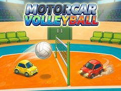 Peli Motorcar volleyball