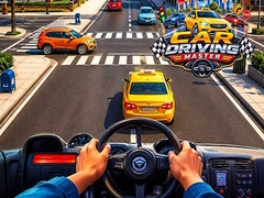 Peli Car Driving Master