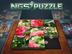 Peli NGS Puzzle