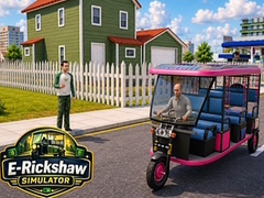Peli E-Rickshaw Simulator