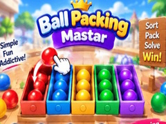 Peli Packing Master Puzzle