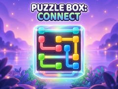 Peli Puzzle Box: Connect
