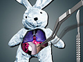 Peli Save The Bunny
