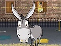 Peli Donkey Gafoor