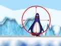 Peli Shooting at the Zoo penguin