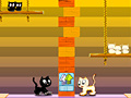 Peli Swing Cat