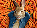 Peter Rabbit Games 